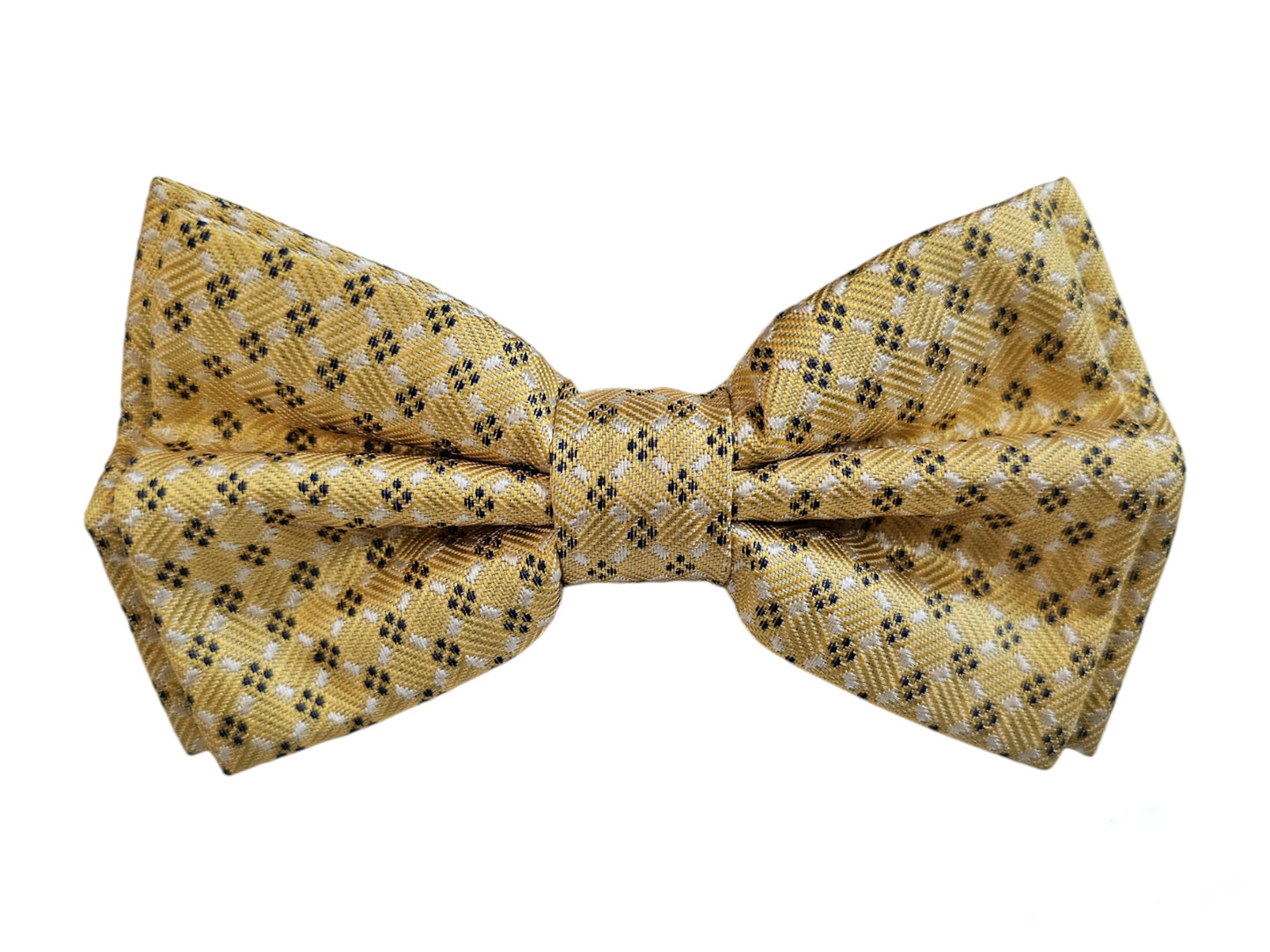 Papillon