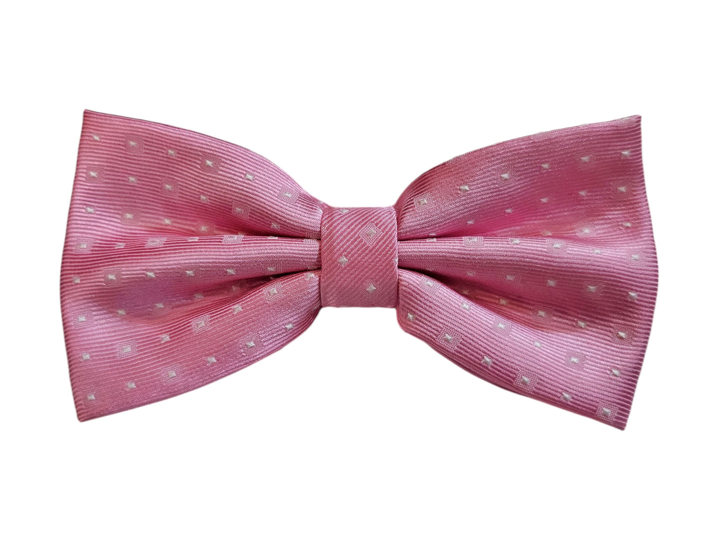 Papillon